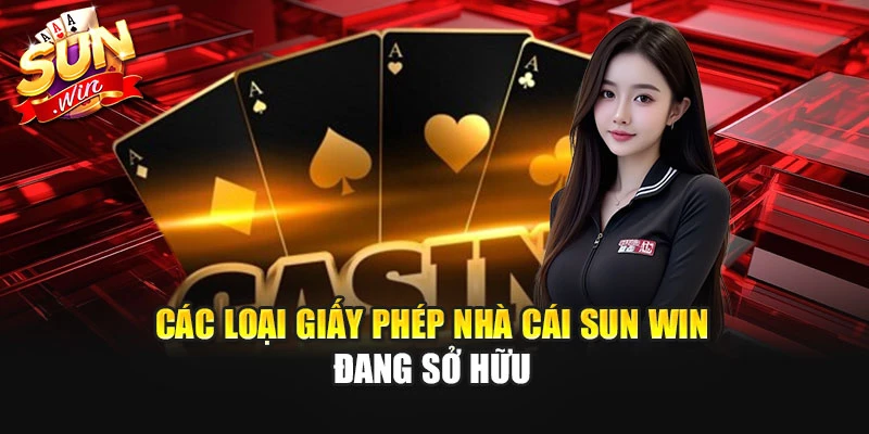 Các loại giấy phép nhà cái sun win đang sở hữu