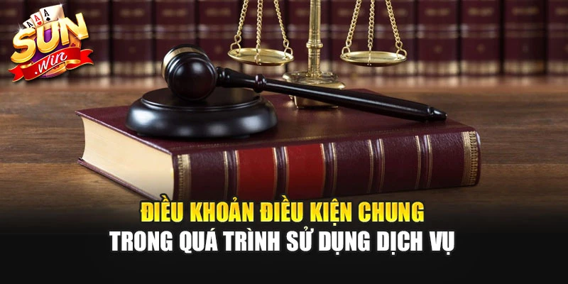 Điều khoản điều kiện chung trong quá trình sử dụng dịch v